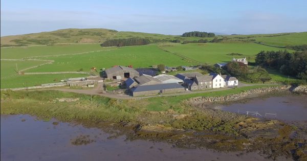Ross Bay Farm Cottages aerial view