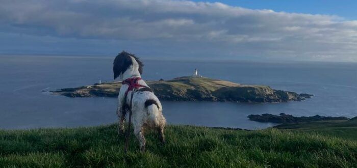 Views across to Little Ross Island & Lighthouse