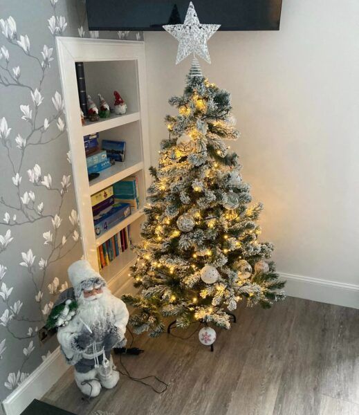 Father Christmas Tree at Ross Bay Retreat