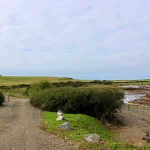 Bay Cottage - Driveway