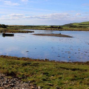 Bay Cottage - View to Ross Bay