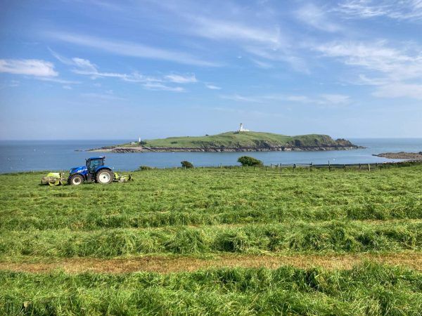 Farming at Ross Bay - Little Ross Island